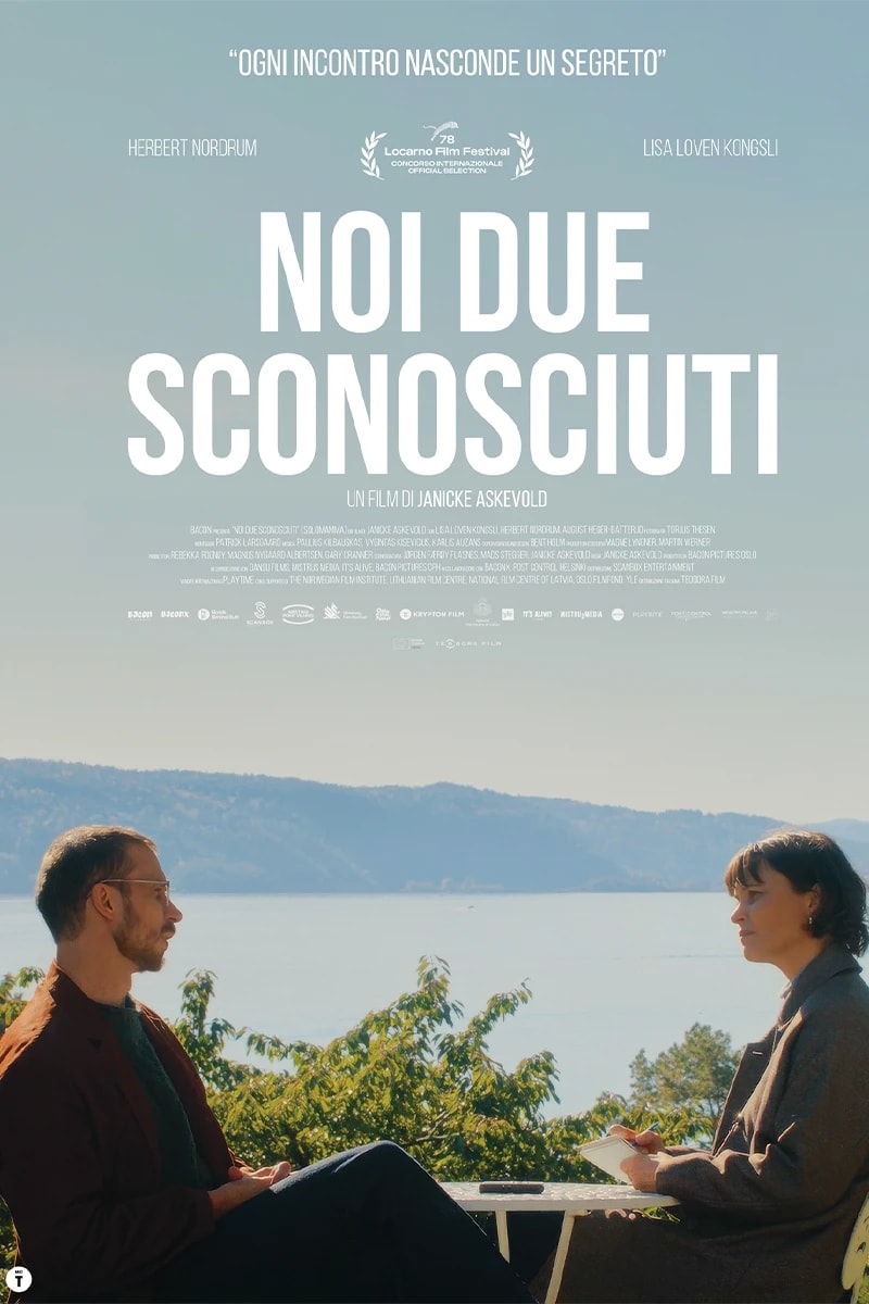 NOI DUE SCONOSCIUTI poster backdrop